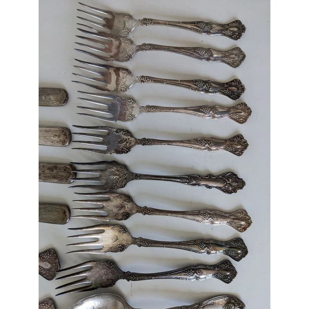 1847 Rogers Bros Grapes Pattern XS Triple Silverplate 29 Pc Vintage Antique READ